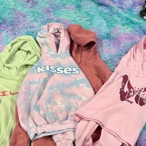 Champion Abercrombie Levis and Hershey Park Hoodie Collection